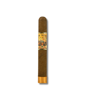 AJ Fernandez New World Dorado - Robusto (10)