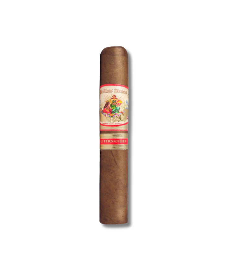 AJ Fernandez Bellas Artes Habano - Gordo (20)