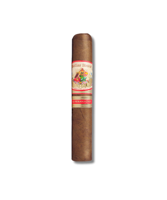 AJ Fernandez Bellas Artes Habano - Gordo (20)
