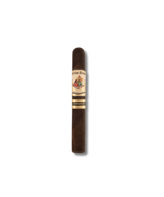 AJ Fernandez Bellas Artes Maduro - Robusto (20)