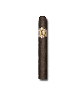 Bolivar Cofradia Oscuro - Toro (25)