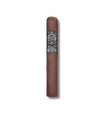 Villiger Cuellar Black Forest - Toro Gordo (20)