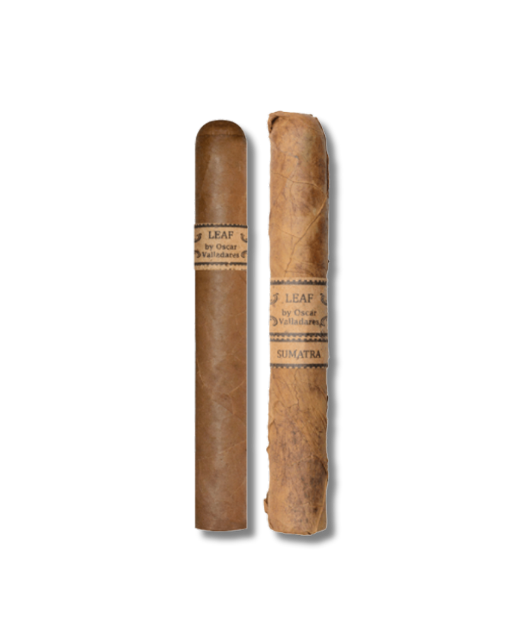 Leaf by Oscar Sumatra - Toro (20)