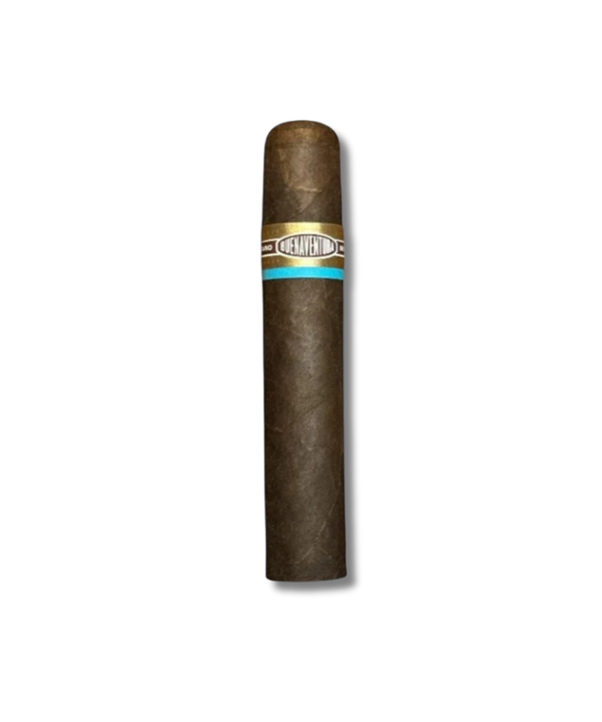 Curivari BV Favoritos Maduro - 60 (20)