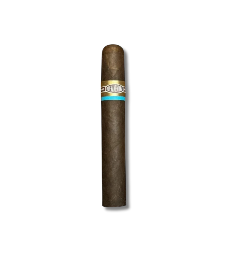 Curivari BV Favoritos Maduro - 56 (20)