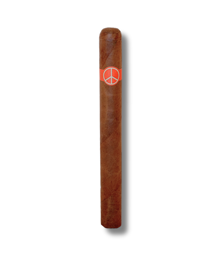 Illusione OneOff - Julieta (10)