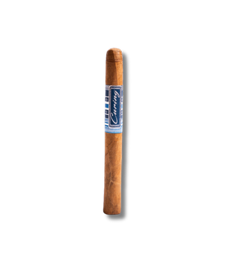 Linga Curing - Corona (20)