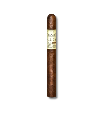 CAO Pilon - Churchill (20)