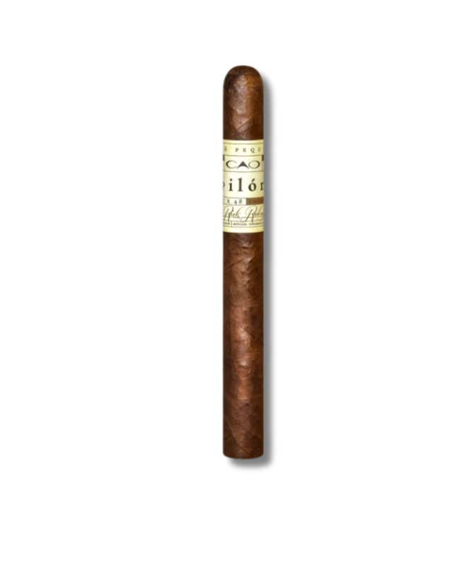 CAO Pilon - Churchill (20)