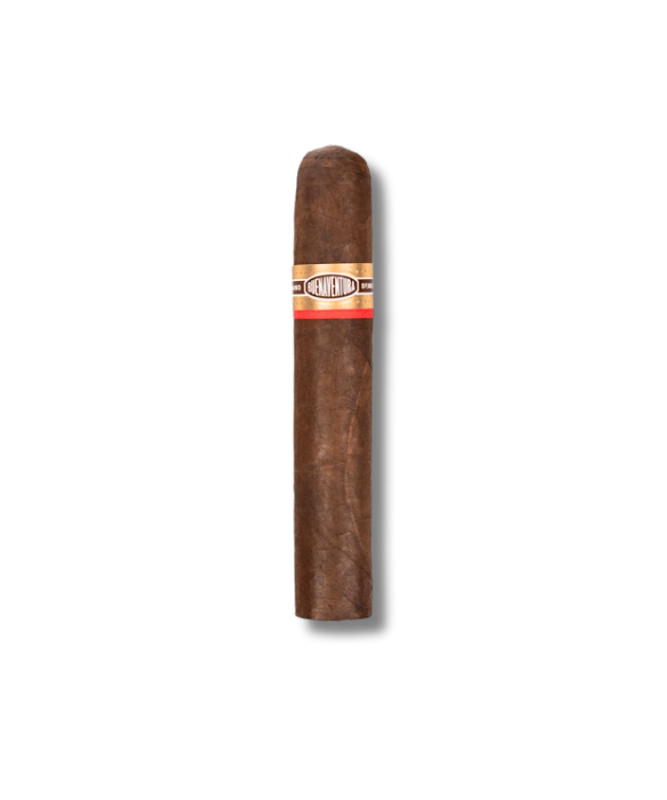 Curivari BV Favoritos Natural - 60 (20)