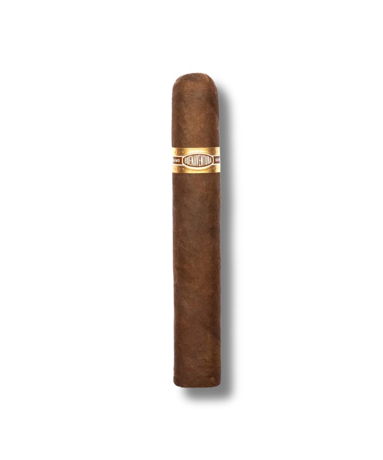 Curivari BV Maduro - 600 (10)