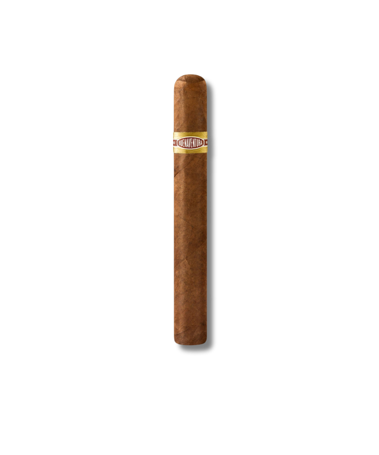 Curivari BV - Picadores 52 (10)