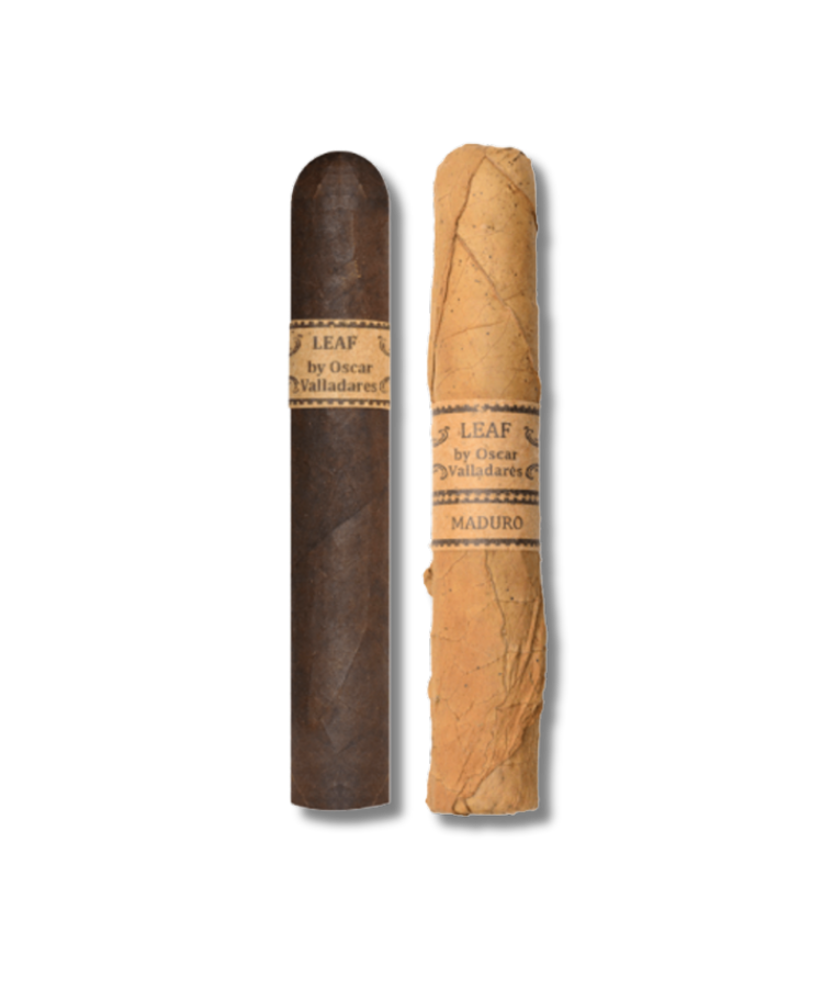 Leaf by Oscar Maduro - 60 (20)