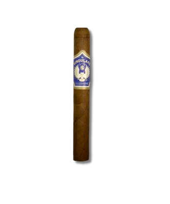 Illusione Singulare Origen - Robusto (15)