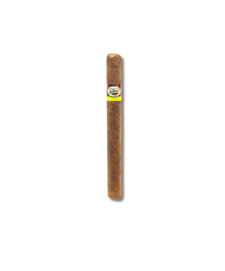 Tatiana Classic - Caribbean Chill (25)