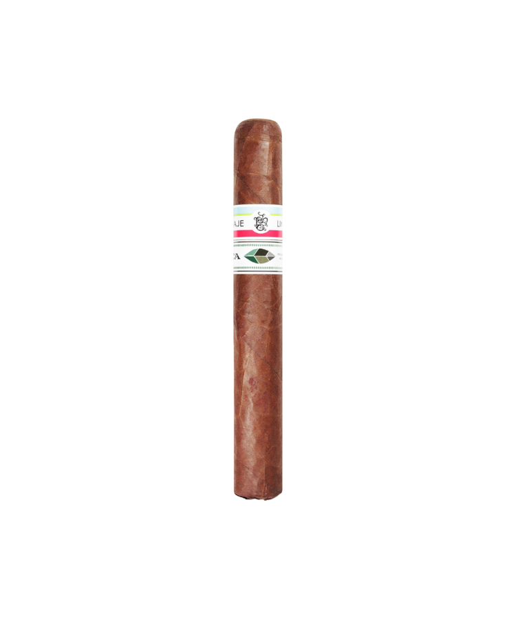 Tatuaje - PCA 2023 (20)