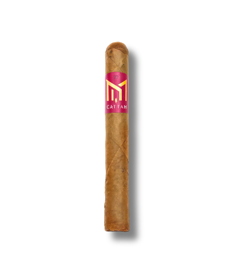 Cattam D - Toro (20)