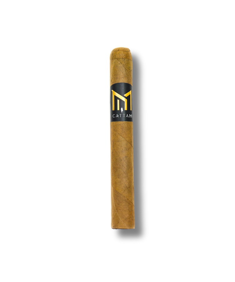 Cattam - Toro (20)
