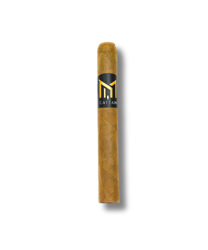 Cattam - Toro (20)
