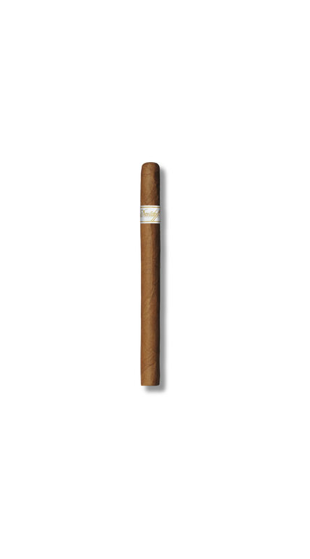 Davidoff Signature - Ambassadrice (25)