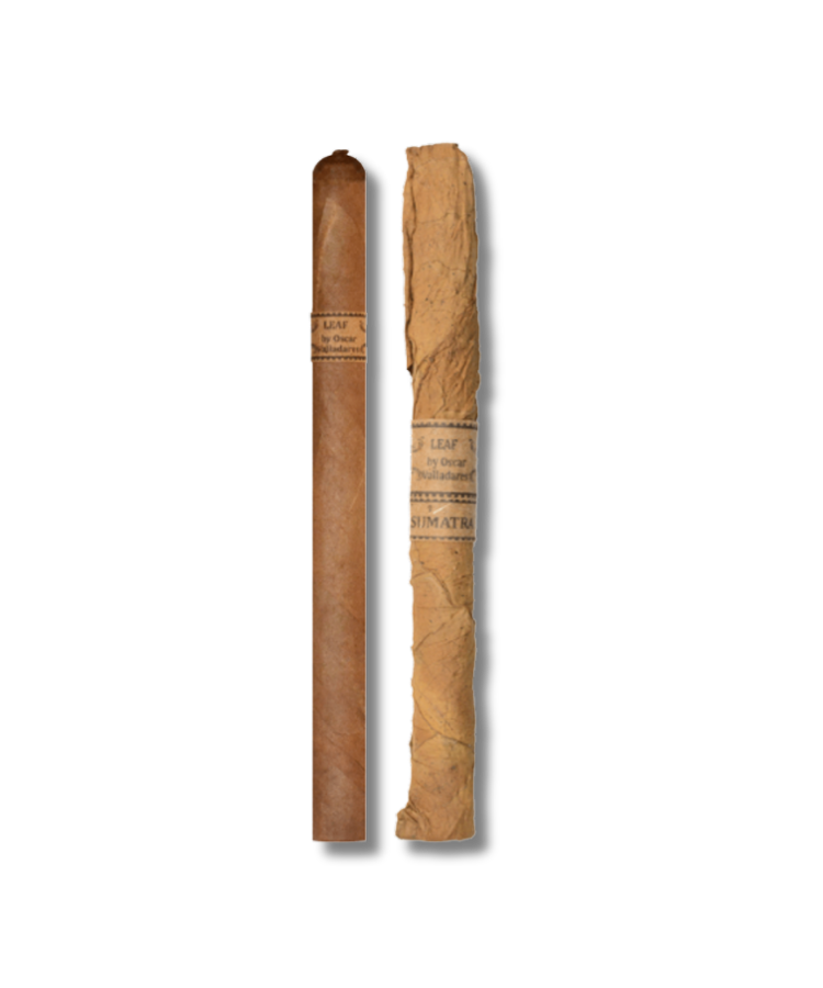 Leaf by Oscar Sumatra - Lancero (20)