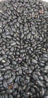 Black Beans(turtle)