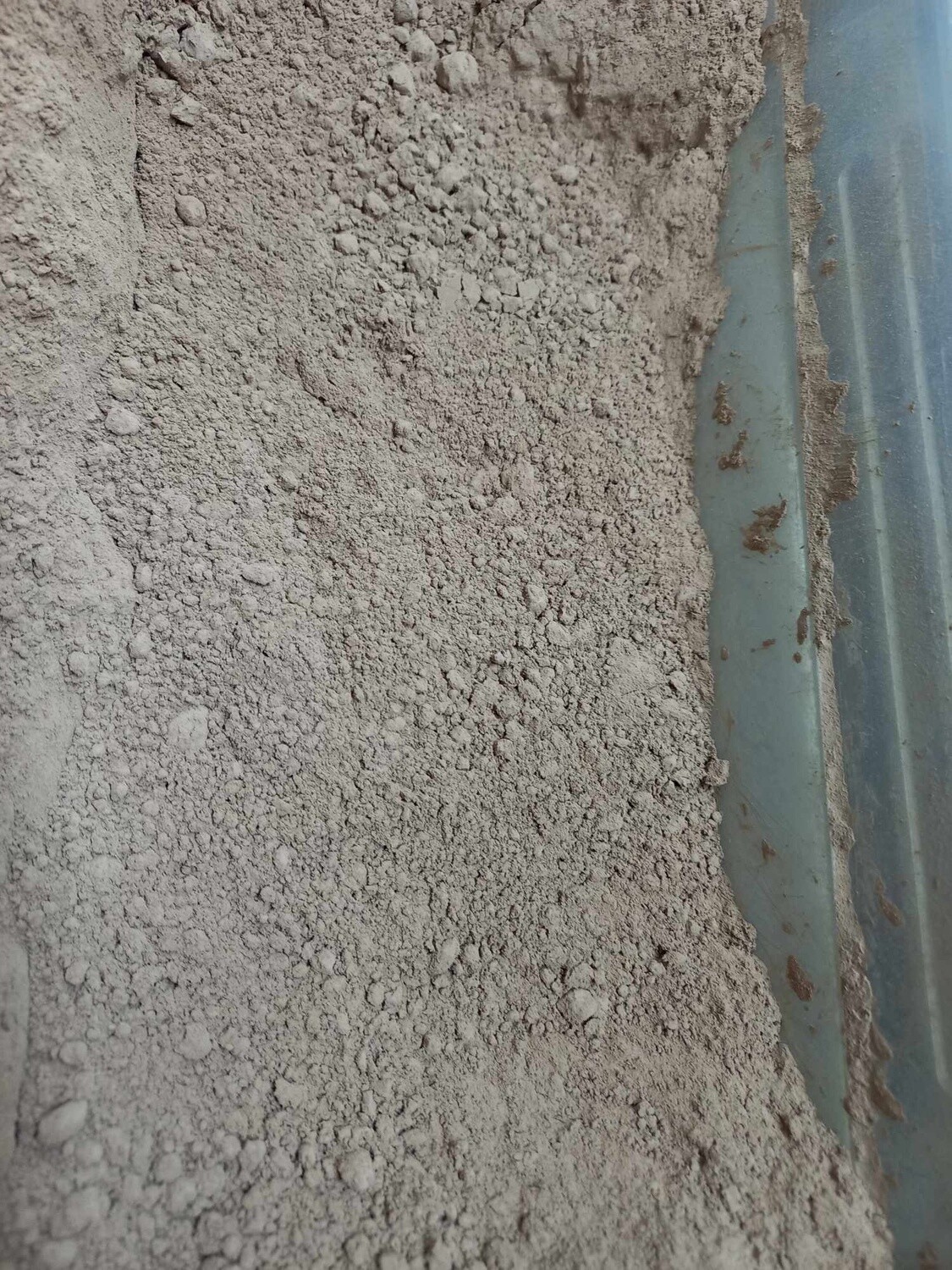 Cocoa Powder