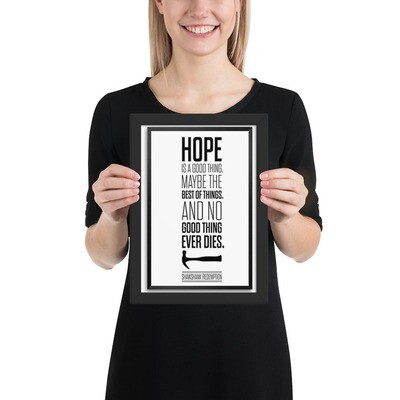Framed matte paper poster