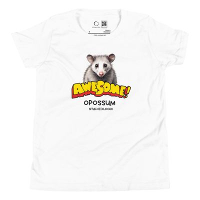StainedLogic Awesome Opossum Youth Graphic Tee