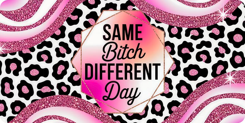 Same Bitch Different Day License Plate