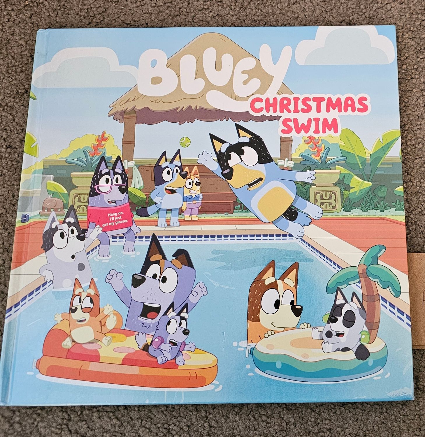 Bluey - Christmas Swim
