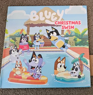 Bluey - Christmas Swim