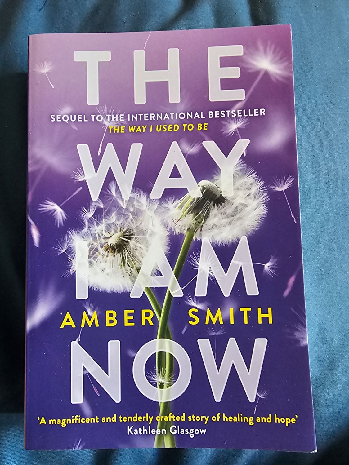 The Way I Am Now - Amber Smith