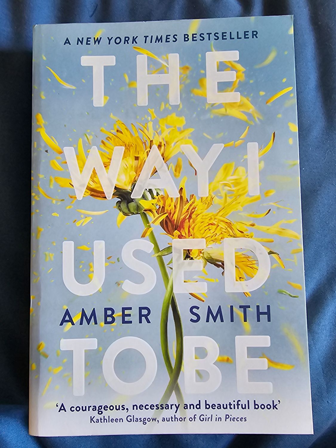 The Way I Used to Be - Amber Smith