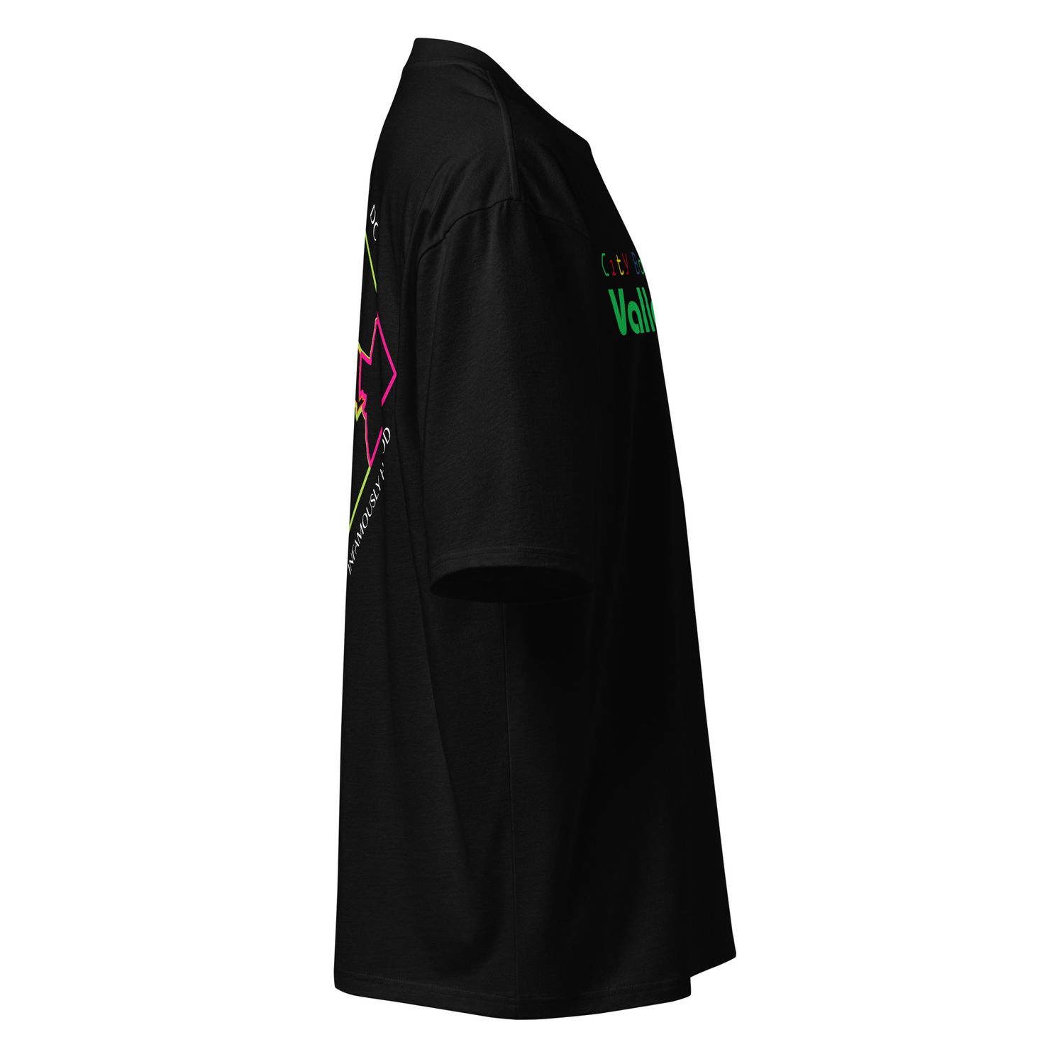 The Valley Oversized heavyweight t-shirt