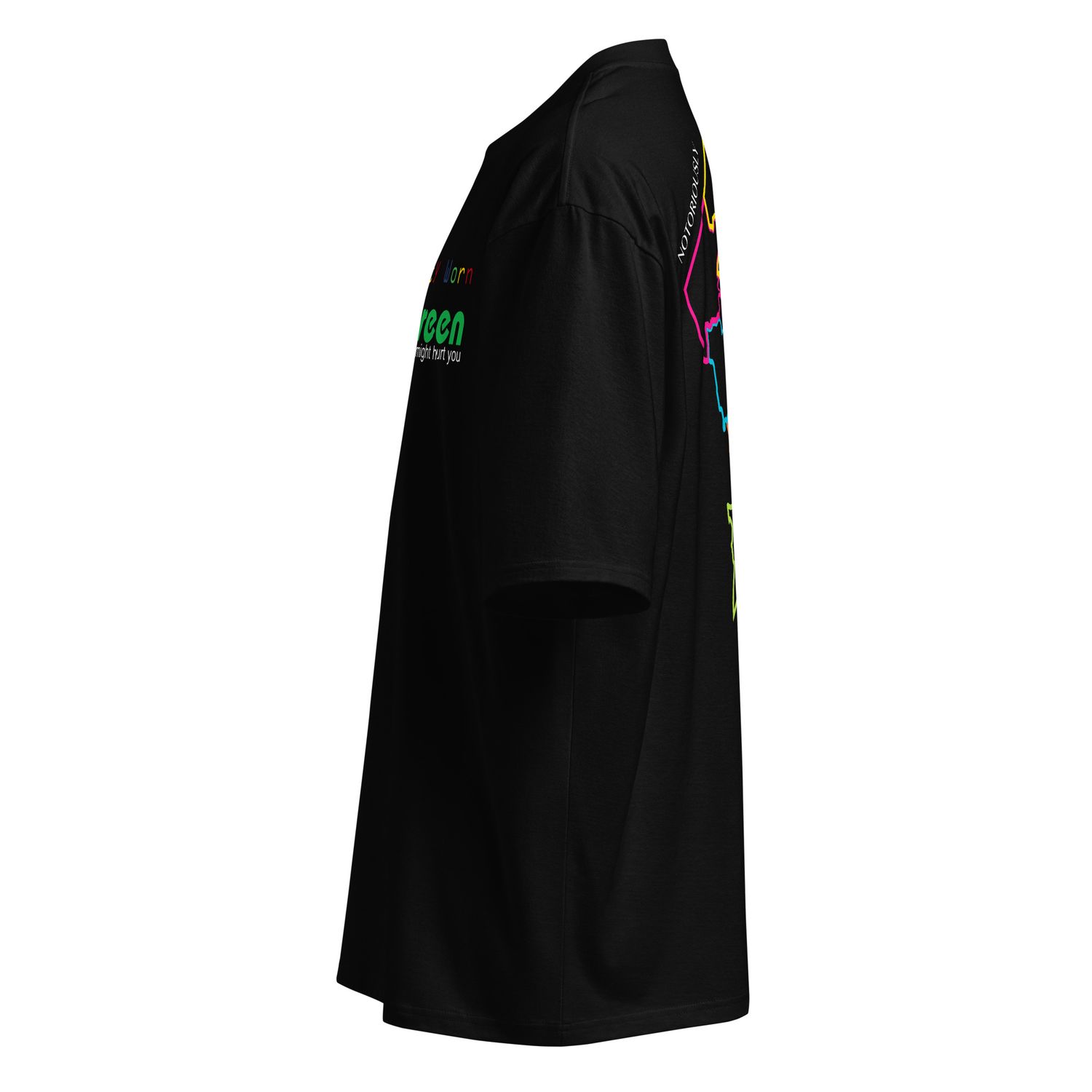 The Valley Oversized heavyweight t-shirt