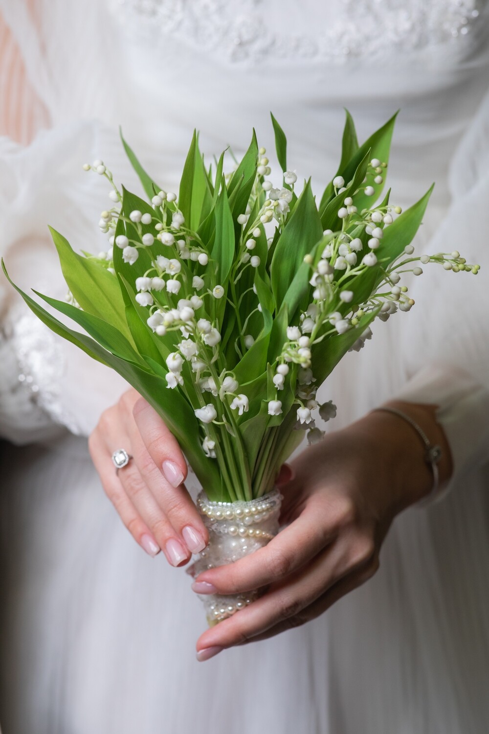 Royal Lily of the valley