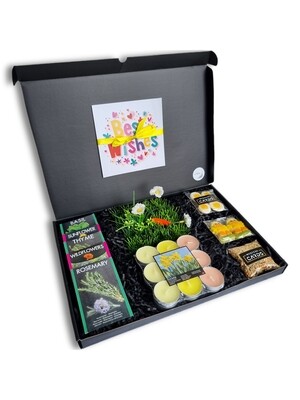 E53] Lente Pakket