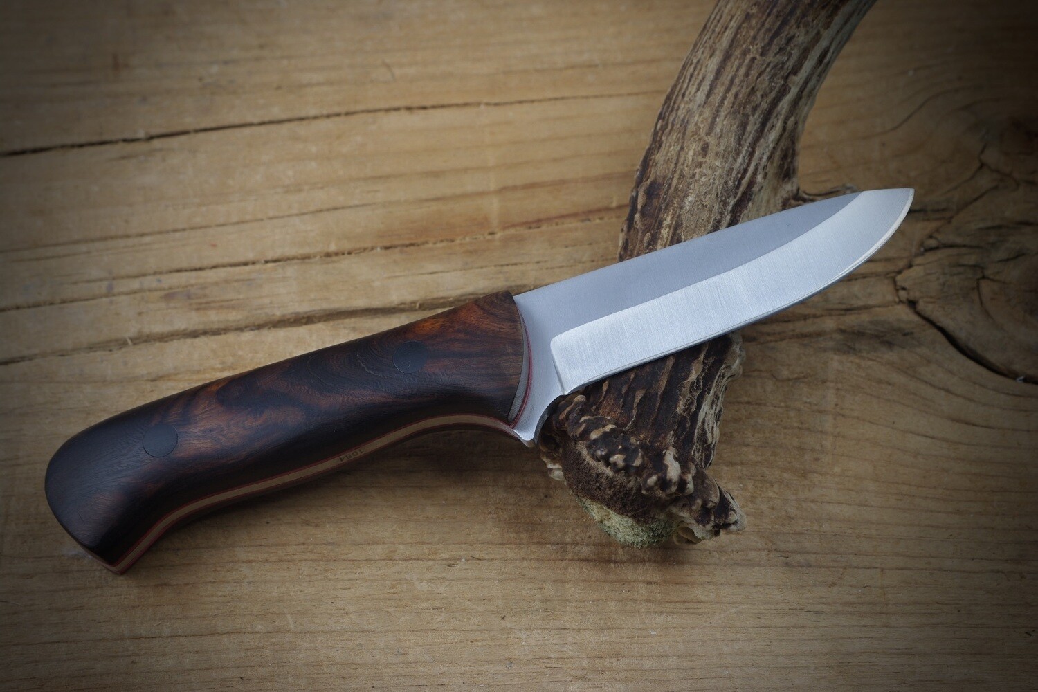 Desert Ironwood Drop Point