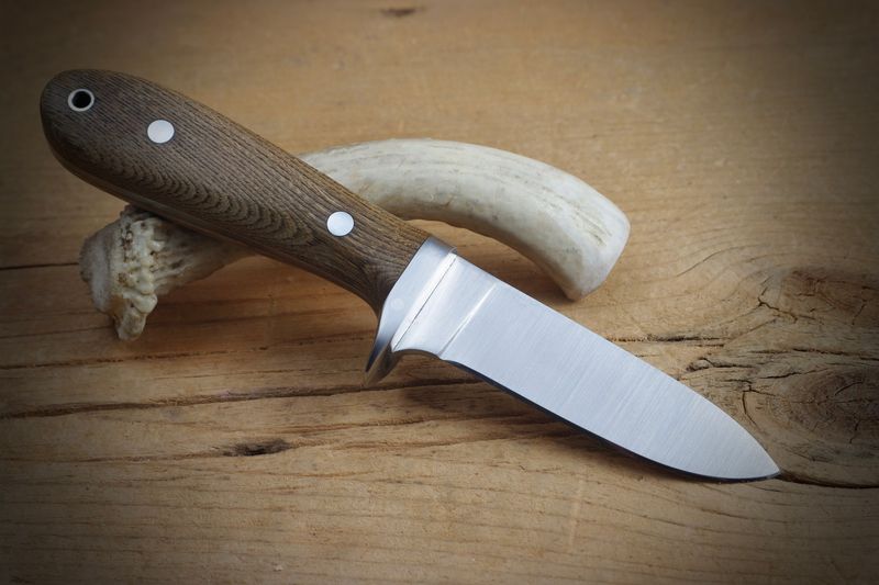 Backwoods Drop Point Hunter