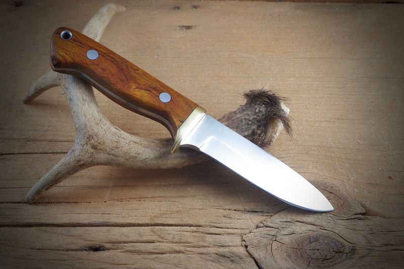 Desert Ironwood Hunter