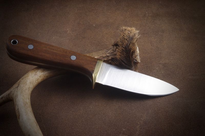 Guarded Hunter/Skinner