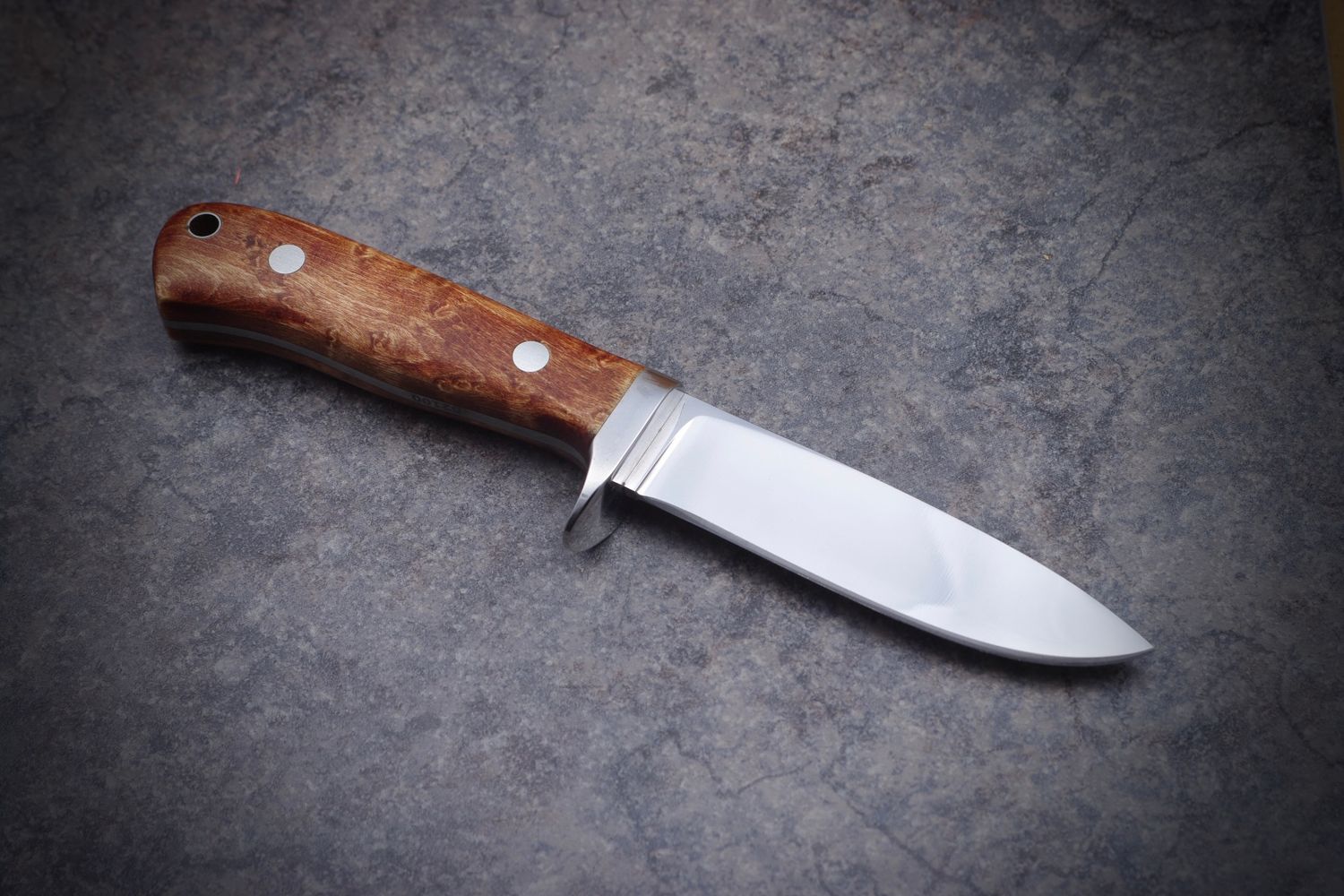 Maple Whitetail Hunter