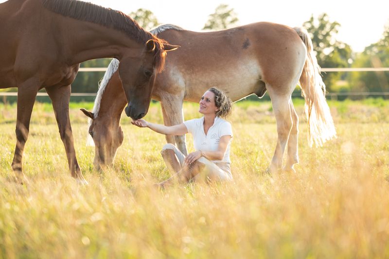 Cursus Mentale Rust voor iedere Ruiter