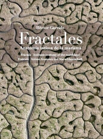 FRACTALES. ANATOMIA INTIMA DE LA MARISMA.