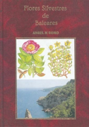FLORES SILVESTRES DE BALEARES