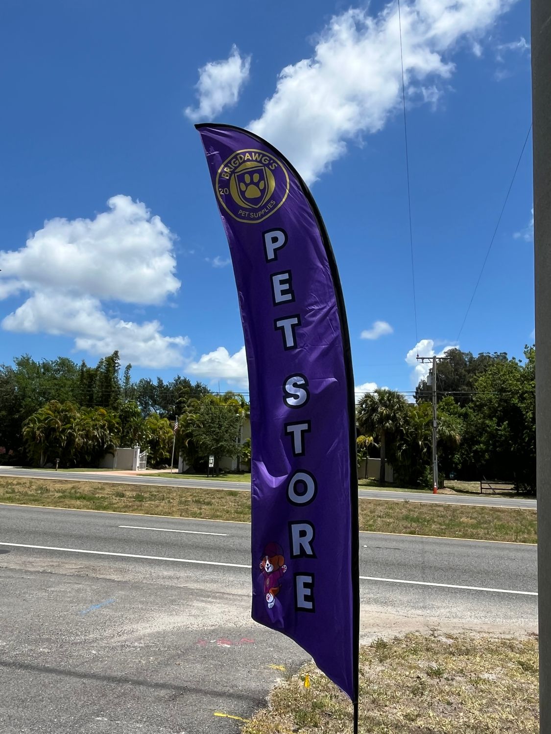 Customized Feather Flags