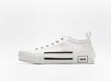 Dior B23 Low Top