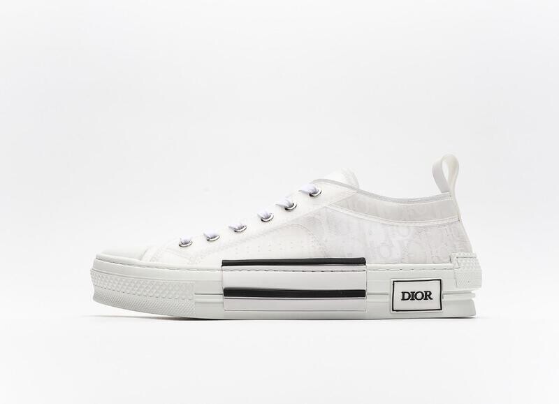 Dior B23 Low Top