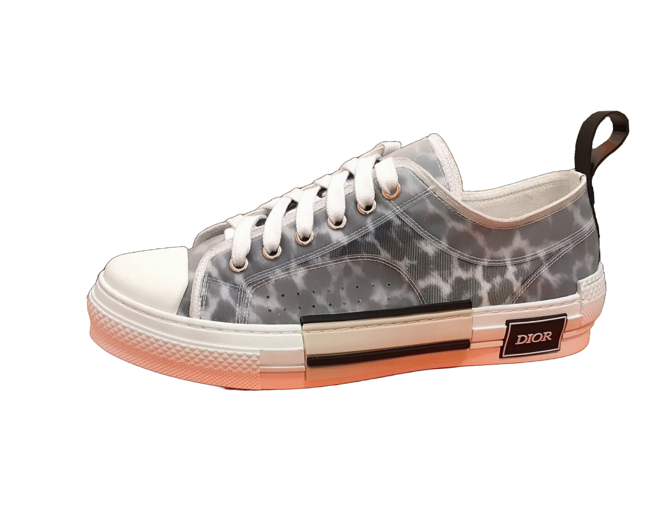 Dior B23 Low Top